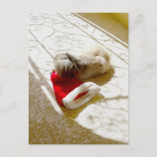Gevangen Kerstman Feestdagenkaart