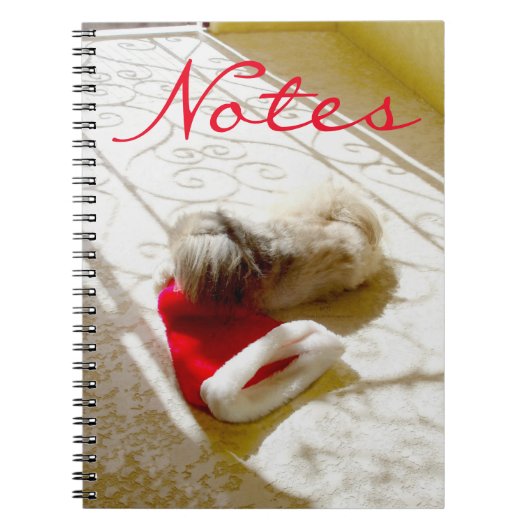 Gevangen Kerstman Notitieboek (Voorkant)