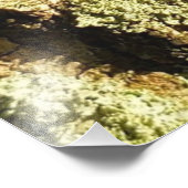 Gevangen Leafhopper - Fotoprint Foto Afdruk (Hoek)