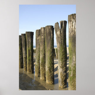 Gevangen op het strand poster