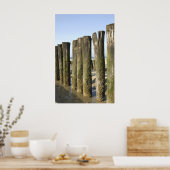 Gevangen op het strand poster (Keuken)