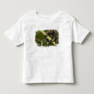 Gevangen Tapichalaca Boomkikker Hyloscirtus 2 Kinder Shirts