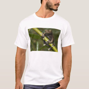 Gevangen Tapichalaca Boomkikker Hyloscirtus 2 T-shirt