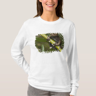 Gevangen Tapichalaca Boomkikker Hyloscirtus 2 T-shirt