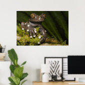 Gevangen Tapichalaca Boomkikker Hyloscirtus 3 Poster (Thuiskantoor)