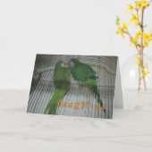 Gevangen Ya Kaart (Gele Bloem)