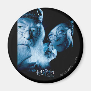 Gevangene van Azkaban - Spaans 1 Magneet