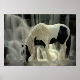 Gevangenis, Papier poster (mat)