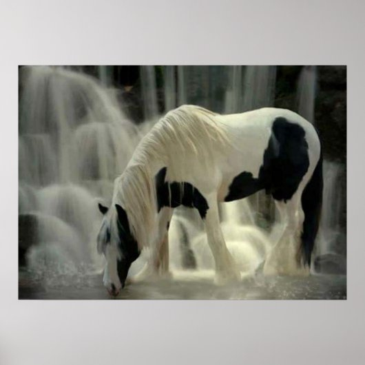 Gevangenis, Papier poster (mat) (Voorkant)