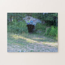 Gevangeniskamp puzzel