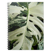 Gevarieerd Monstera Plant Bloemen Notitieboek (Voorkant)