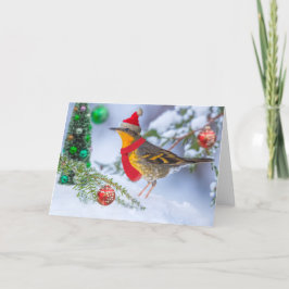 Gevarieerd Thrush Kerstmis Feestdagen Kaart