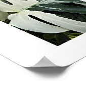 Gevariëerd Zwitsers Plant Bloemen Poster (Hoek)