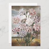  gevarieerde landbloemen met grijze hemel (Voorkant / Achterkant)