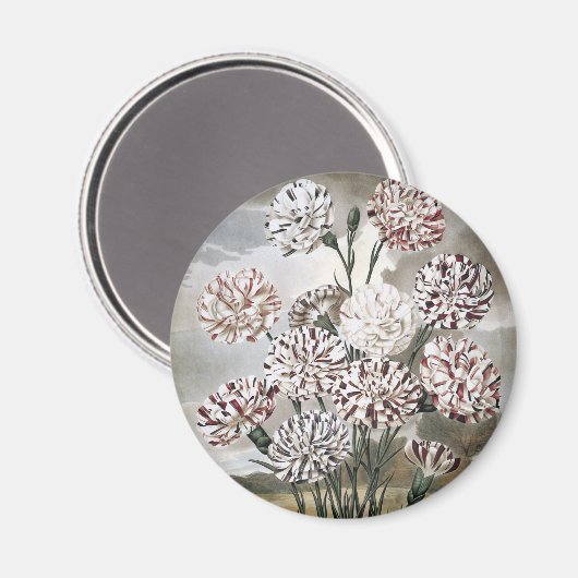  gevarieerde landbloemen met grijze hemel magneet (Voorkant / Achterkant)