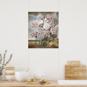  gevarieerde landbloemen met grijze hemel poster (Keuken)