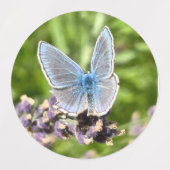 Gevarieerde Stickers (Design 2)