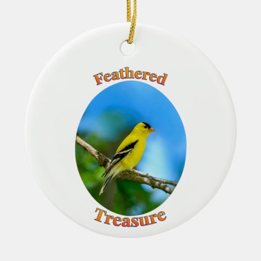Gevederd Schat - Amerikaanse Goudvink Ornament (Voorkant)