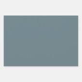 gevederde bloem inpakpapier vel (Voorkant 2)