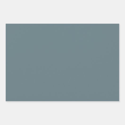 gevederde bloem inpakpapier vel (Voorkant 2)