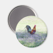 gevederde pride magneet (Voorkant / Achterkant)