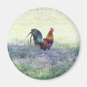 gevederde pride magneet (Voorkant)