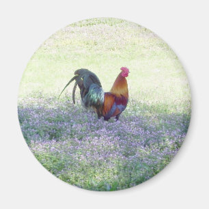 gevederde pride magneet