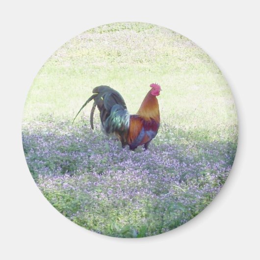 gevederde pride magneet (Voorkant)