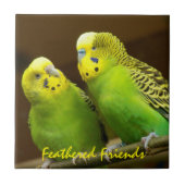 Gevederde Vrienden Groene en Gele Parkieten Tegeltje (Voorkant)