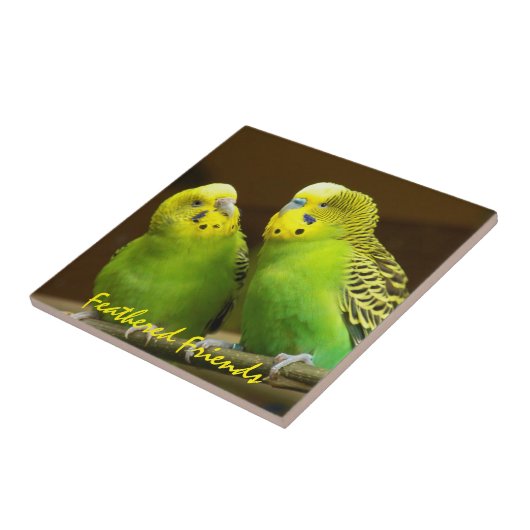 Gevederde Vrienden Groene en Gele Parkieten Tegeltje (Zijkant)