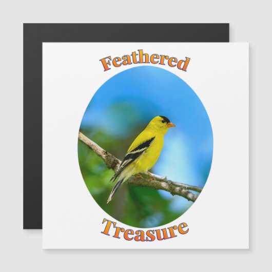 Gevederte Schat - Amerikaanse Goudvink  (Voorkant / Achterkant)