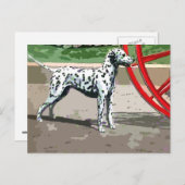 geverfd dalmatiaans briefkaart (Voorkant / Achterkant)