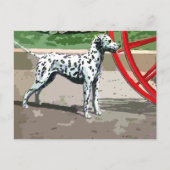 geverfd dalmatiaans briefkaart (Voorkant)