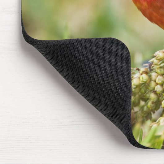 geverfde bundeling muismat (Hoek)