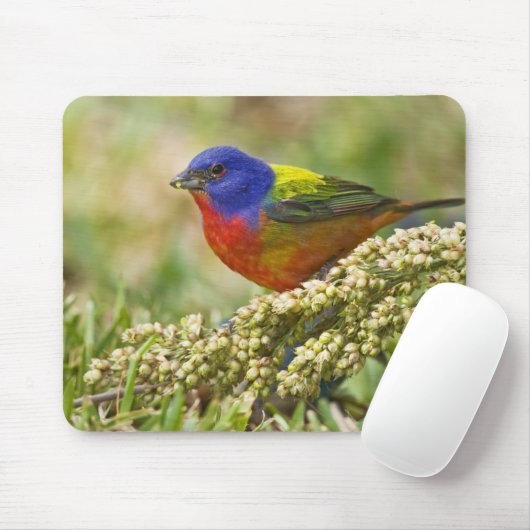 geverfde bundeling muismat (Met muis)