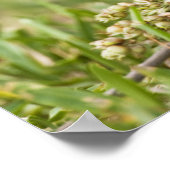 geverfde bundeling poster (Hoek)