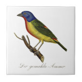 geverfde bundeling tegeltje (Voorkant)