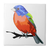 geverfde bundeling tegeltje (Voorkant)