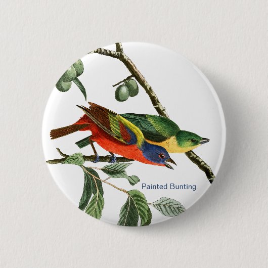 geverfde Bunting, Audubon, Birdwatcher Finch Bird, Ronde Button 5,7 Cm (Voorkant)
