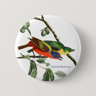geverfde Bunting, Audubon, Birdwatcher Finch Bird, Ronde Button 5,7 Cm