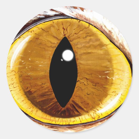 Geverfde kattenogen ronde sticker (Voorkant)