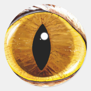 Geverfde kattenogen ronde sticker