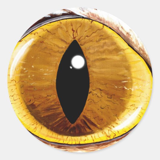 Geverfde kattenogen ronde sticker (Voorkant)