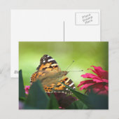 Geverfde vlinder en zink briefkaart (Voorkant / Achterkant)