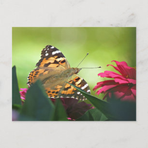 Geverfde vlinder en zink briefkaart