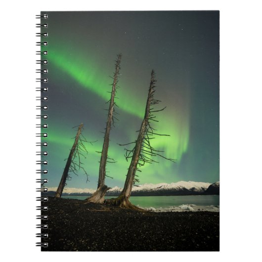 Gevergeten Spruce Aurora Notitieboek (Voorkant)