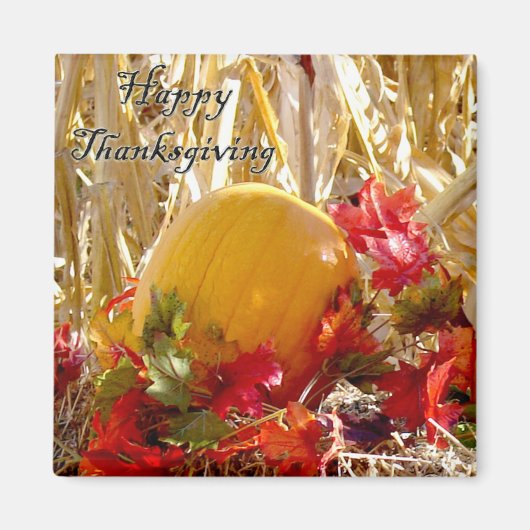 Gevestigd in rood magneet (Voorkant)