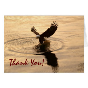 Gevist Bald Eagle bij Twilight Thank You Card