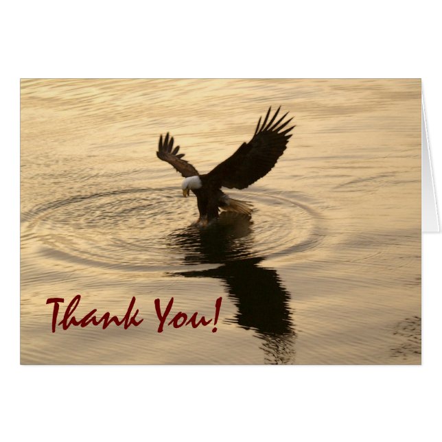 Gevist Bald Eagle bij Twilight Thank You Card (Voorkant Horizontaal)