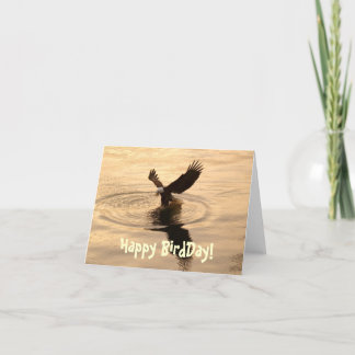 Gevist Bald Eagle op Dusk Funny Birthday Kaart